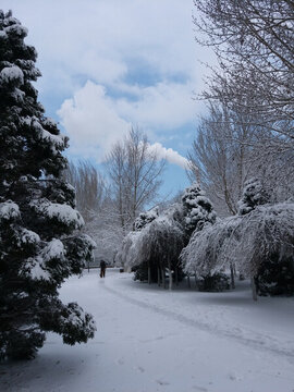 沈陽大雪之路人