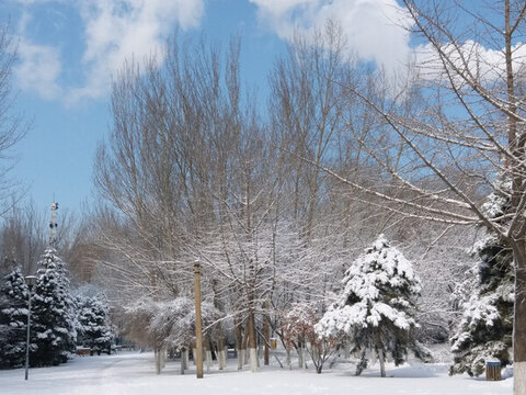 沈陽(yáng)大雪之小路
