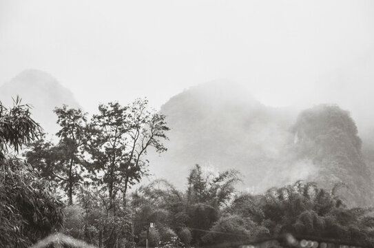 霧色山景