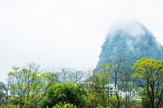 霧色山景