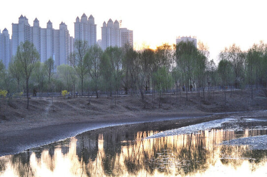蘭州濕地公園
