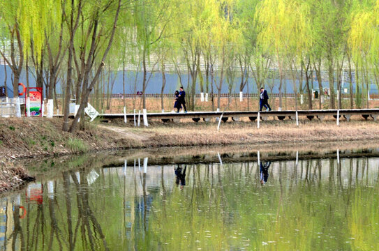 蘭州濕地公園