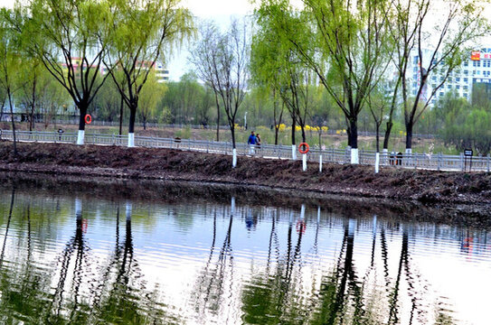 蘭州濕地公園