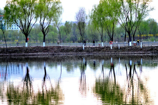 蘭州濕地公園