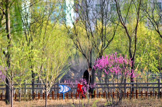 蘭州濕地公園