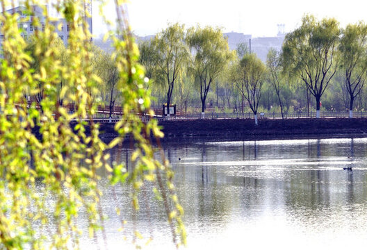蘭州濕地公園