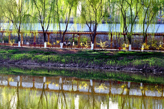 蘭州濕地公園