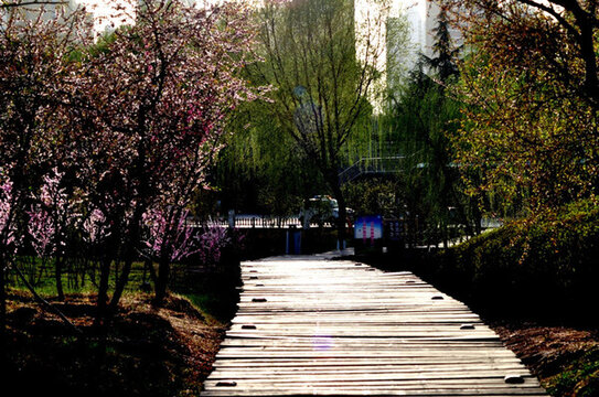 蘭州濕地公園