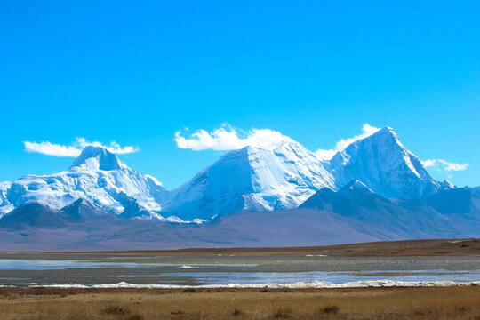 雪山下的濕地
