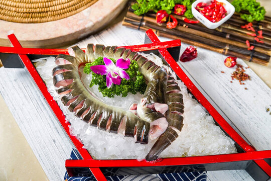 冰鎮(zhèn)烏魚(yú)