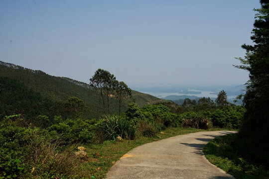 盤山公路 彎路
