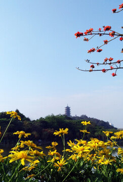 廣東佛山南海千燈湖公園