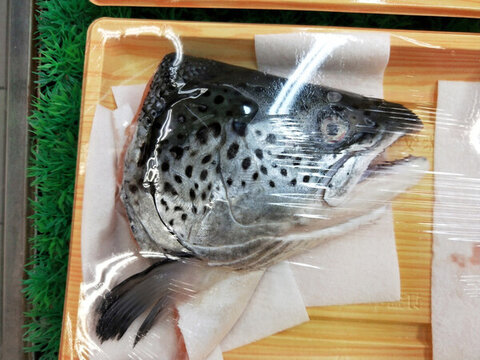 三文魚(yú)頭