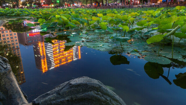 夜景