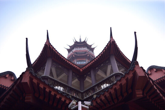 仰拍寶塔