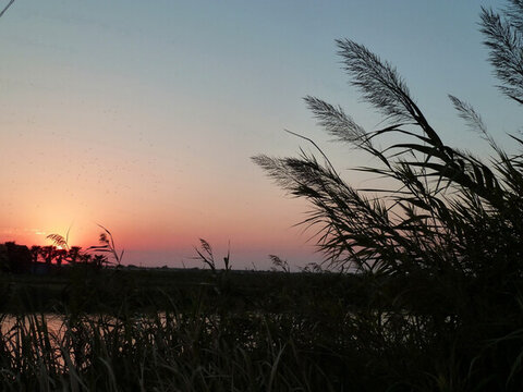 夕照