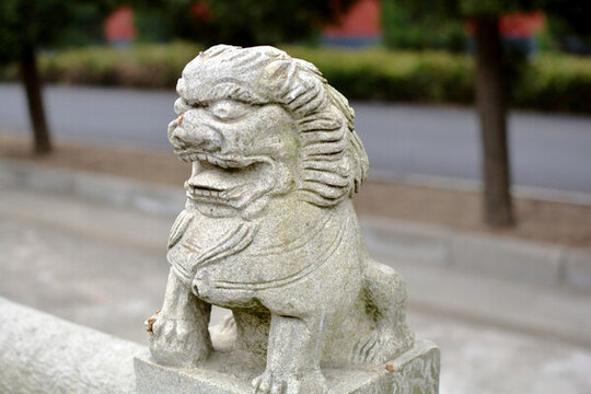 小獅子