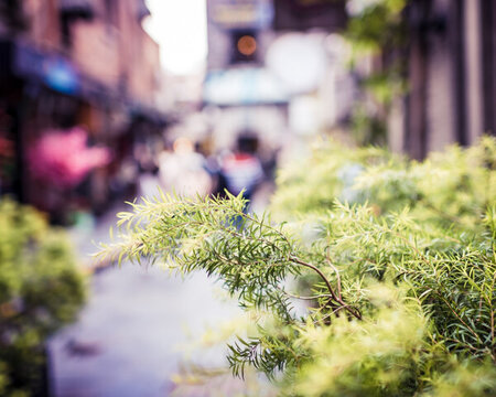 街景
