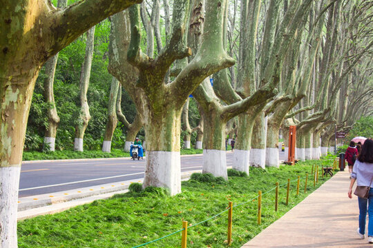 南京中山陵