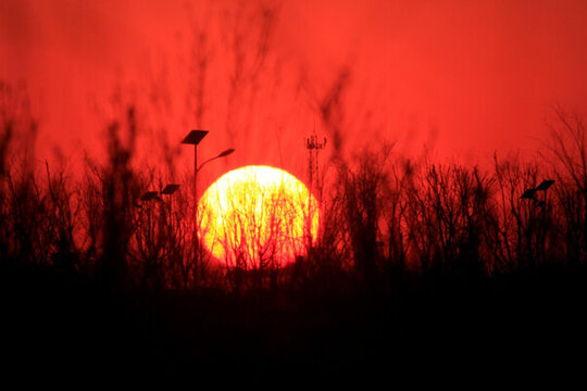 夕陽(yáng)