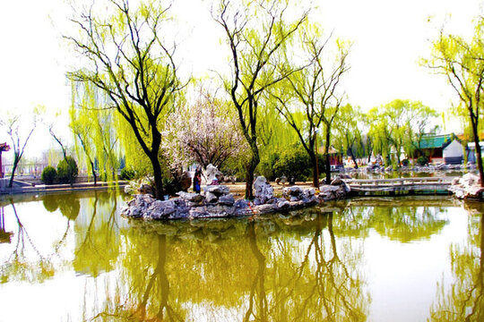 城市園林