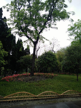 景觀園林