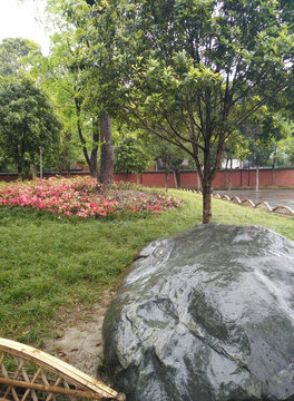 景觀園林