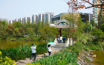 公園 植物公園 森林公園