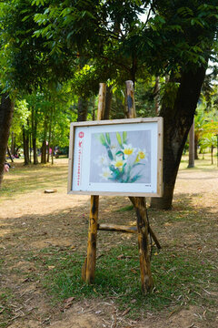 展覽 照片 畫廊 圖片展覽