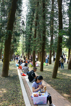 植物園 公園 周末