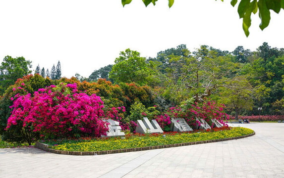森林公園 金山植物公園 陽江