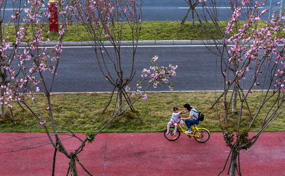 櫻花
