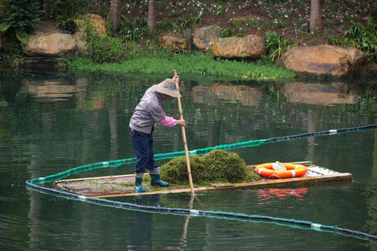 打撈水草工作人員