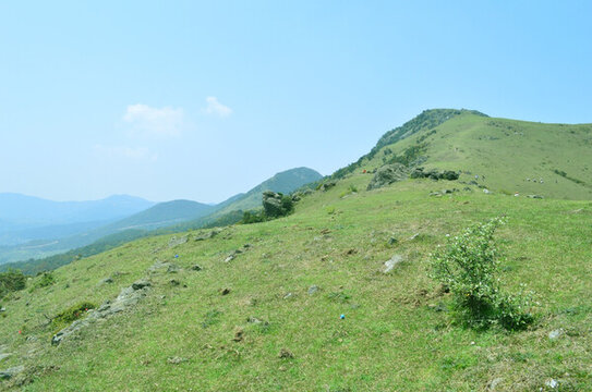 高山草場