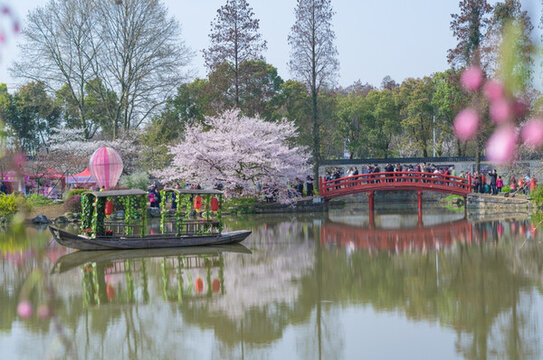 初春櫻花園