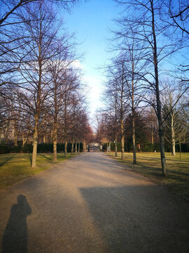 柏林中央公園