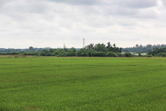 田園風(fēng)光