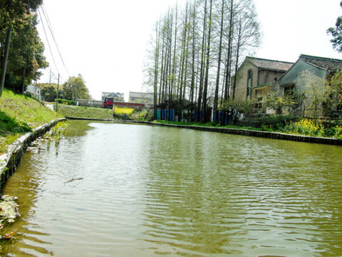 農(nóng)村風光小溪河流攝影圖