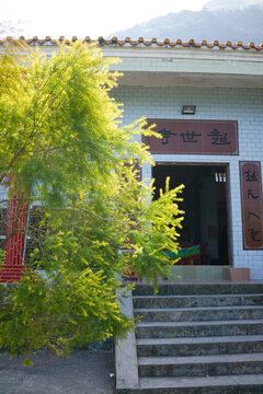 陽光明媚 風(fēng)景樹