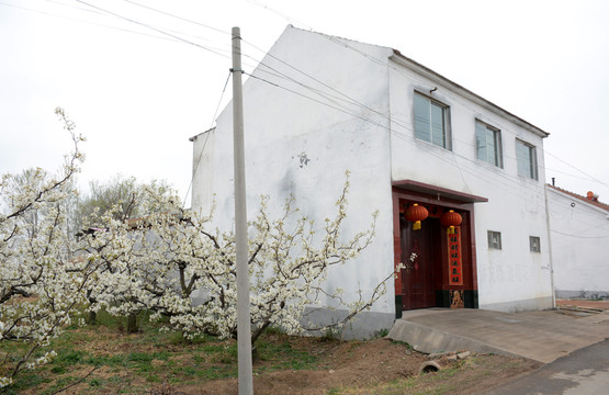 梨樹農(nóng)家