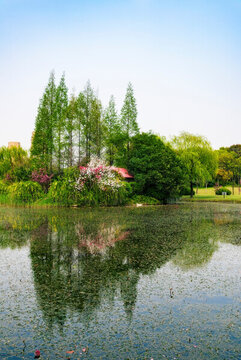 湖泊風景