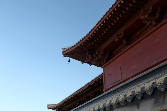 飛檐 房檐 屋頂 樓閣 古建筑