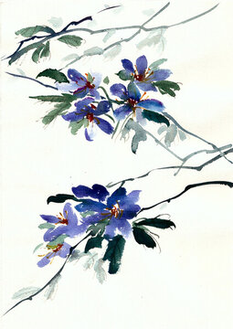 手繪藍色的花朵