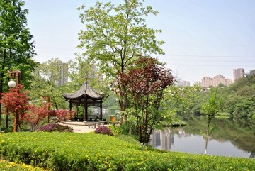 園林景觀