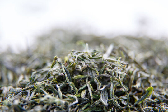 綠茶
