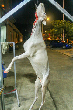 掛羊肉