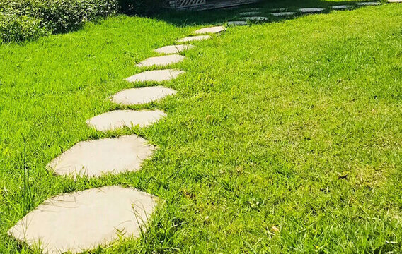 草地石板路 草地 草叢 草坪