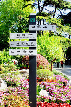 南京白鷺洲公園