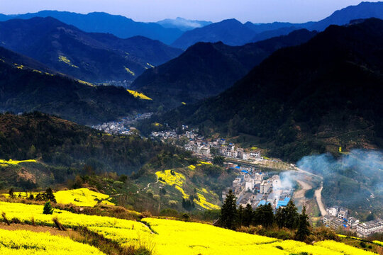 皖南山村油菜花開