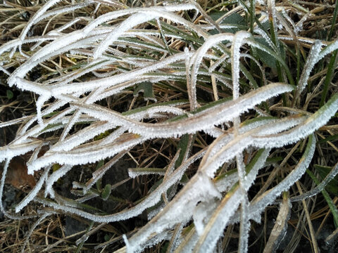 菌子山冰雪 霧凇